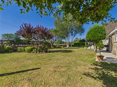Picture 16